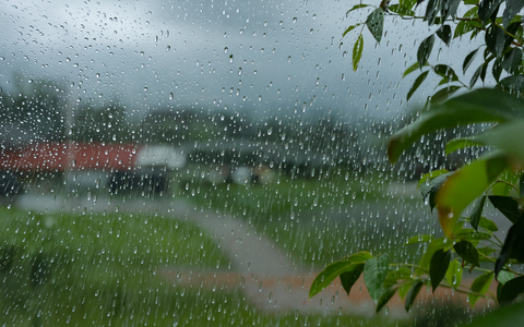 Sommer